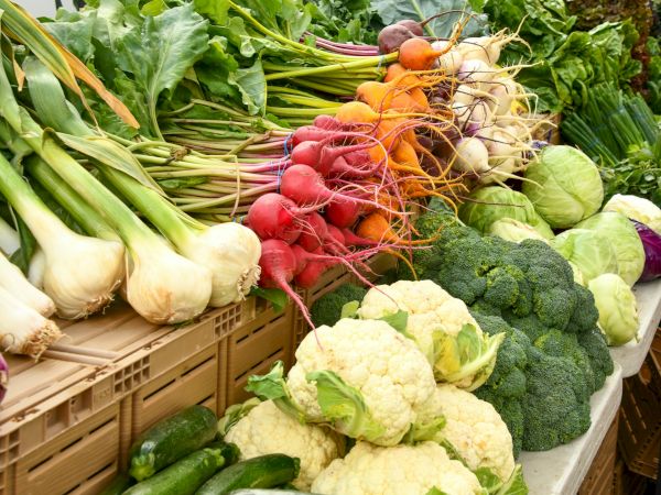 A colorful display of fresh vegetables: leeks, radishes, carrots, onions, cabbage, broccoli, and cauliflower neatly arranged at a market.