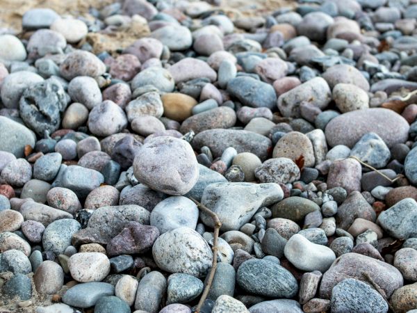 A close-up of smooth, multicolored pebbles and stones scattered on a rocky beach, creating a textured, natural mosaic.