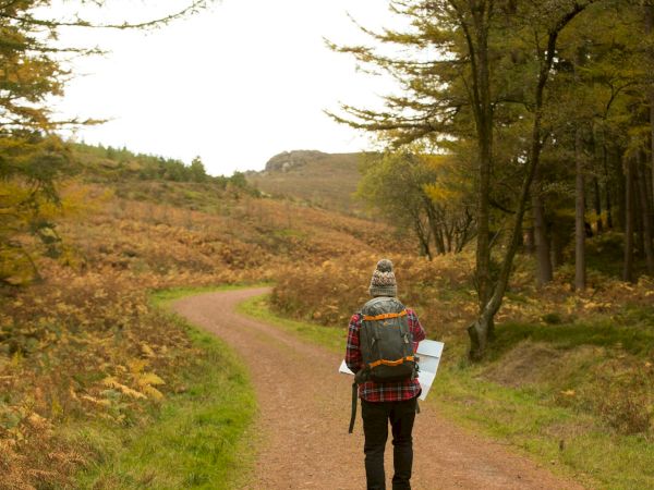A hiker with a backpack and map walks along a winding dirt trail through a forested autumn landscape.