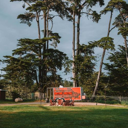 Tall slender trees loom over a small orange trailer or truck parked on a grassy field, with a few people near it under a cloudy sky.