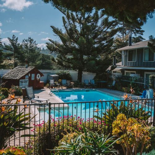 A sunny backyard scene with a bright blue swimming pool, surrounded by lounge chairs, a fence, flowering plants, and a two-story house in the background.