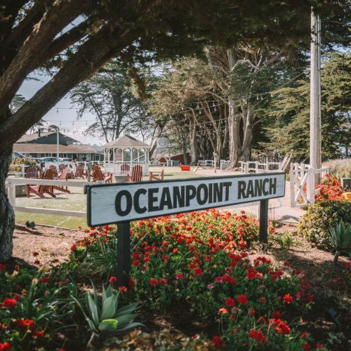Oceanfront scene at Oceanpoint Ranch with a sign, flowers in bloom, trees, and a park-like yard in the background.