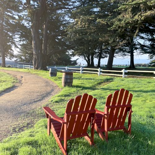 Two red Adirondack chairs face a sunny grassy park with a path, trees, and a distant ocean view.